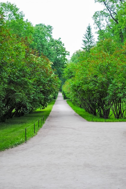 Parque de Tsarskoye Selo em São Petersburgo
