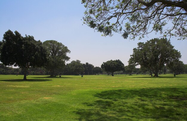 Parque de verão bonito