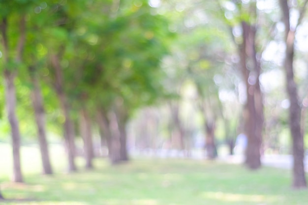 Parque de desenfoque con fondo claro bokeh