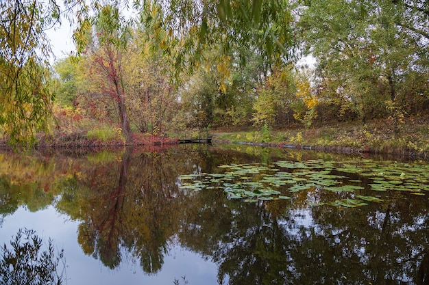 Parque do outono. árvores refletidas na água do lago do parque