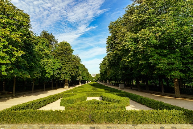 Parque do retiro em madrid, uma área de sebes verdes cortadas e grandes árvores.