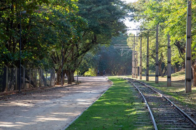 Parque do Taquaral em Campinas, São Paulo. belas árvores e natureza exuberante