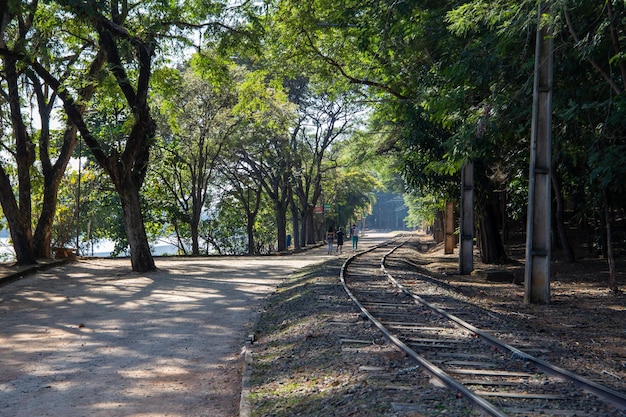 Parque do Taquaral em Campinas, São Paulo. belas árvores e natureza exuberante