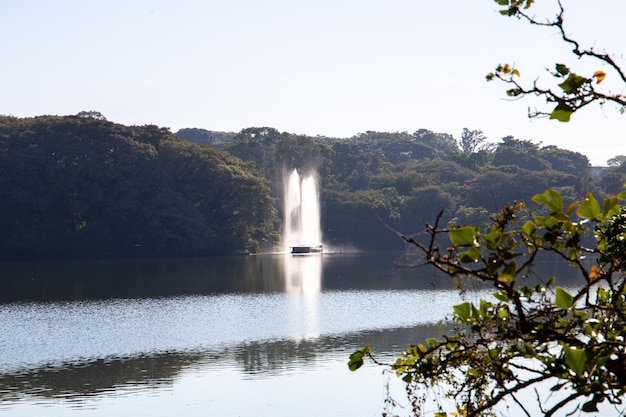 Parque do Taquaral em Campinas, São Paulo. belas árvores e natureza exuberante