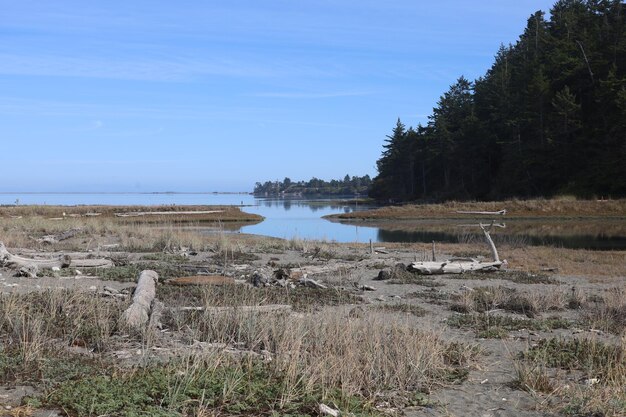 Parque dungeness e reserva estadual de vida selvagem