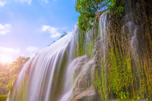 Foto parque em cascata paisagem limpa linda