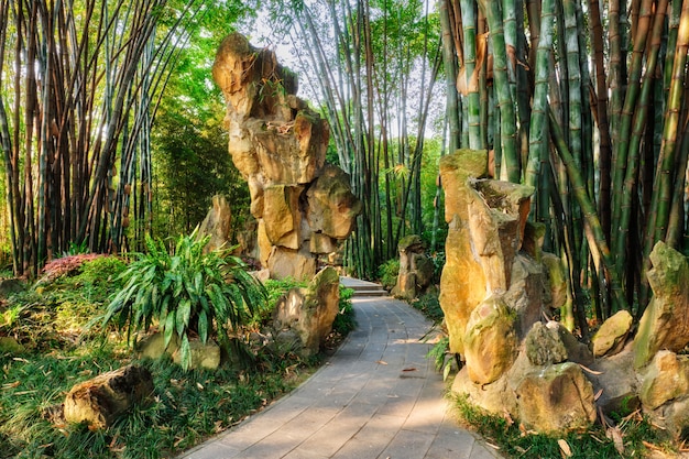 Foto parque em chengdu, china