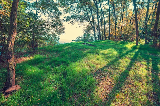 Parque em dia ensolarado no outono