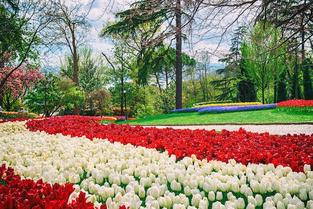 Parque Emirgan Estambul