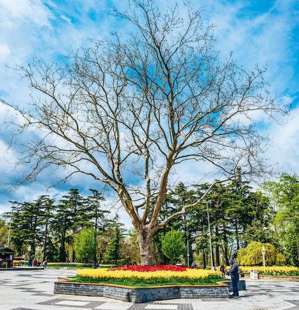 Parque Emirgan Estambul