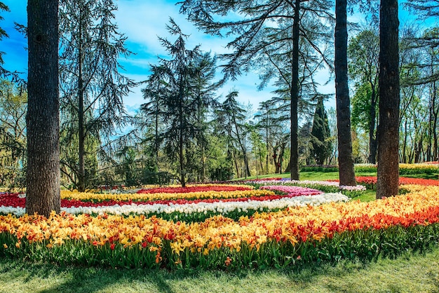 Parque Emirgan Estambul