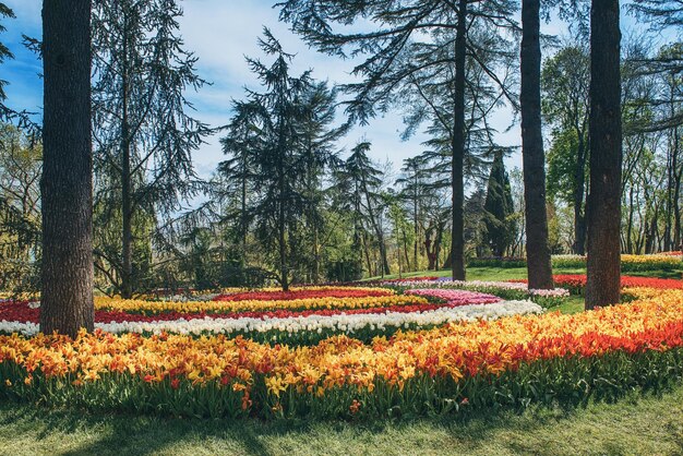 Parque Emirgan Estambul