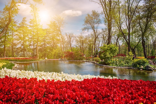 Parque Emirgan Estambul