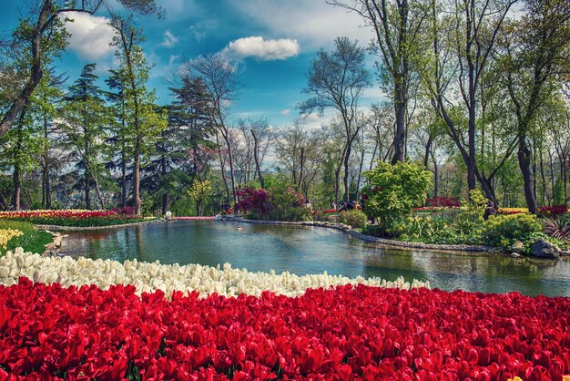 Parque Emirgan Estambul