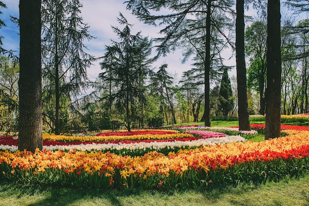 Parque Emirgan Istambul