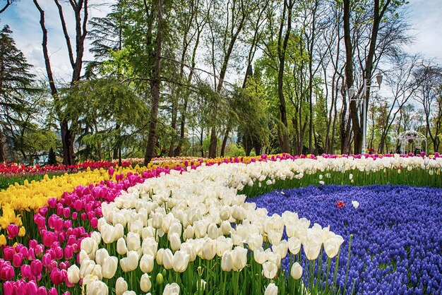 Parque Emirgan Istambul