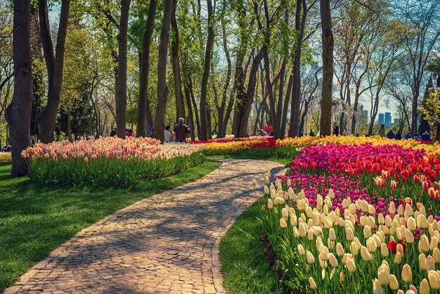 Parque Emirgan Istambul