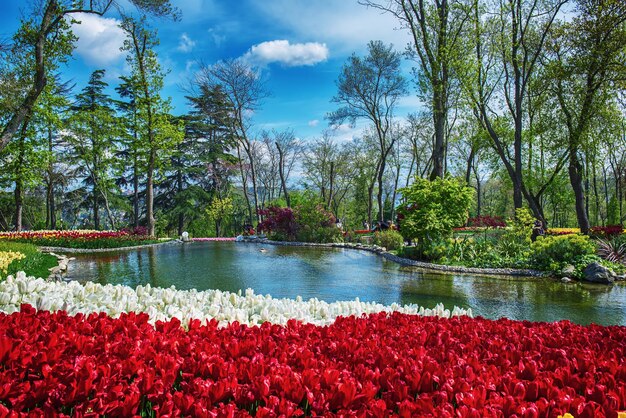 Parque Emirgan Istambul