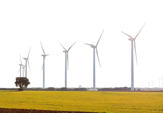 Foto parque eólico en un campo verde con múltiples molinos eólicos que producen espacio libre de electricidad limpia para el texto anterior