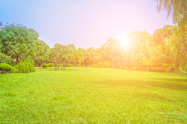 El parque es verde, bosques e hierba