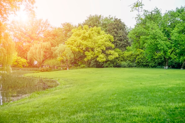 El parque es verde, bosques e hierba