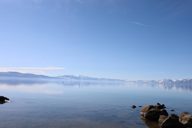 Parque Estadual de Lake Tahoe Sugar Pine