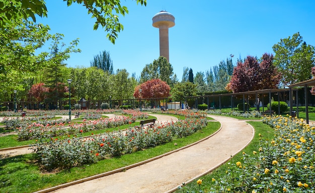 Foto parque fiesta del arbol em albacete espanha