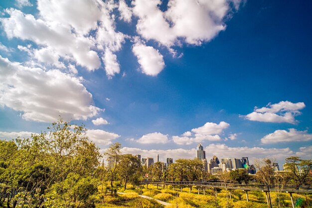 parque forestal de la ciudad