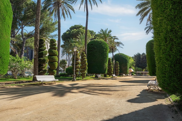 Foto parque genovés cádiz andalucía españa