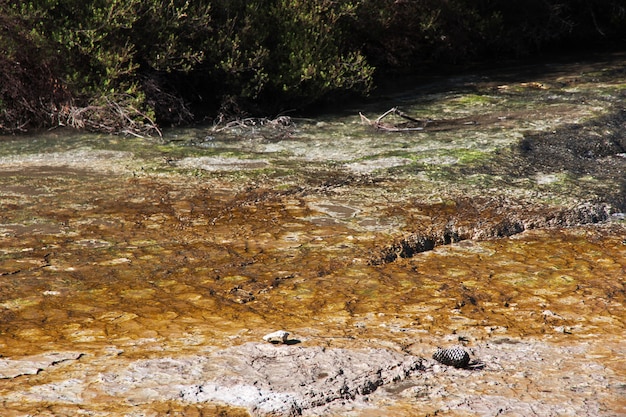 Parque geotérmico de Wai-o-tapu, Rotorua, Nova Zelândia