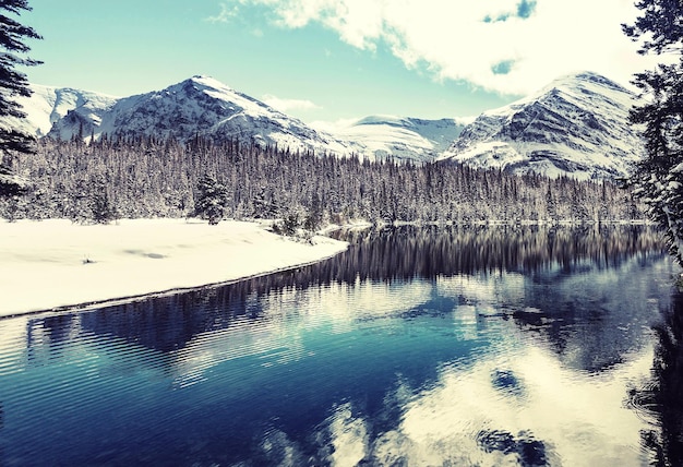 Parque de los glaciares en invierno