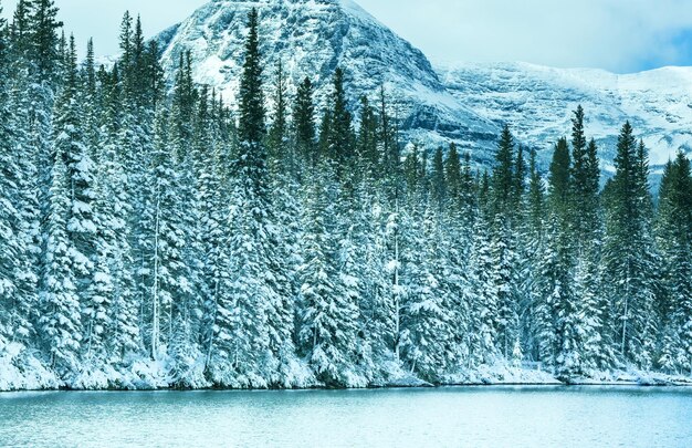 Parque de los glaciares en invierno