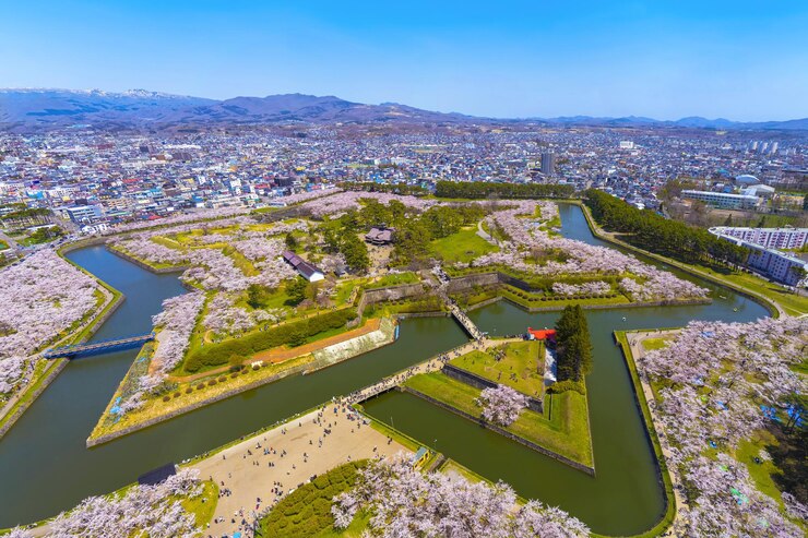 Parque Goryokaku en la temporada de flor de cerezo de primavera. Vista aérea Hakodate Hokkaido Japón