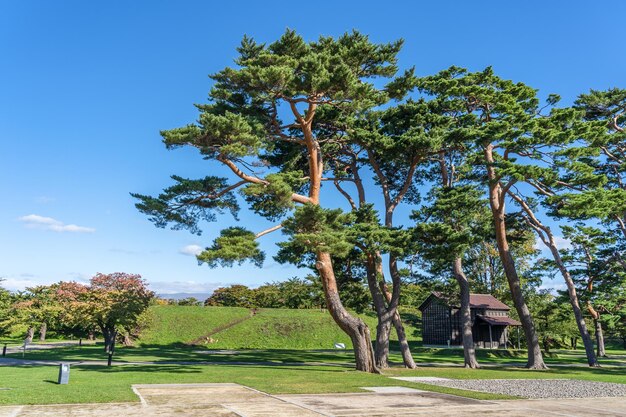 Parque goryokaku um parque de forte em forma de estrela na cidade de hakodate, hokkaido, japão