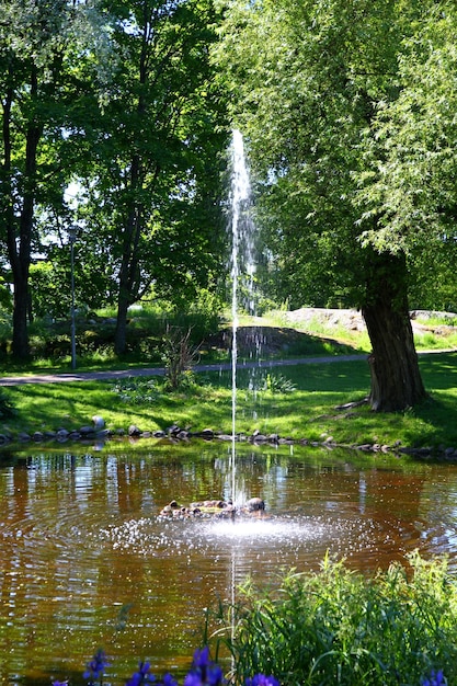 El parque en Helsinki Finlandia