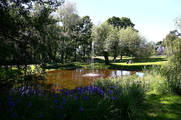 El parque en Helsinki Finlandia