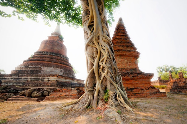 El Parque Histórico de Sukhothai cubre las ruinas del Reino de Sukhothai en los siglos XIII y XIV, en lo que hoy es el norte de Tailandia. Se encuentra cerca de la moderna ciudad de Sukhothai.