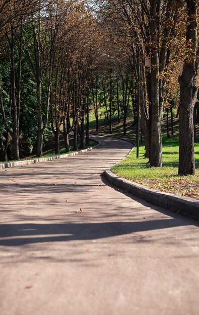 Parque con hojas comenzando a ponerse amarillas a principios de otoño