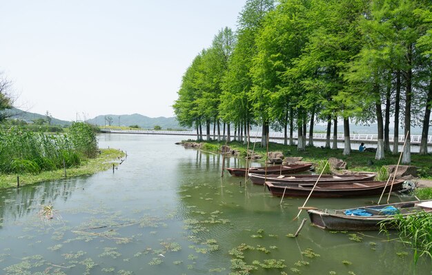 Parque de humedales del lago Dongqian, Ningbo, China