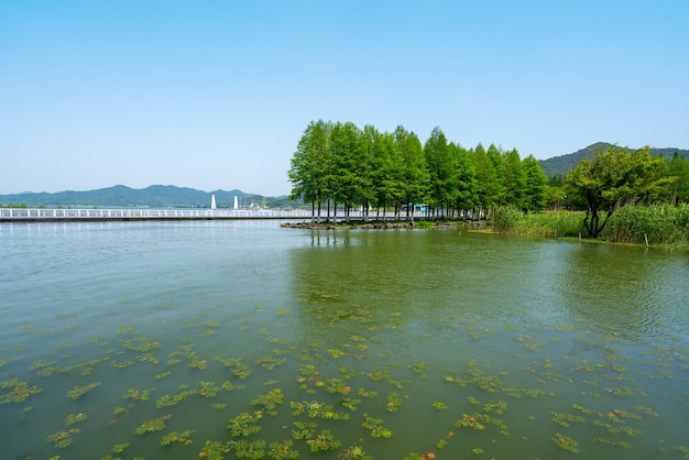 Parque de humedales del lago Dongqian, Ningbo, China