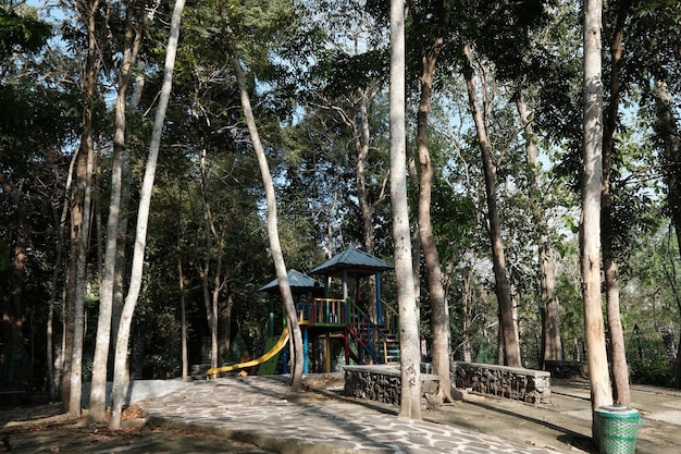 Un parque infantil en el bosque con árboles y una valla.