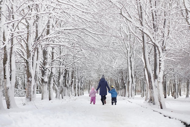 Parque de invierno cubierto de nieve y bancos. Parque y muelle para alimentar patos y palomas. Familia en un paseo por la nieve cubrió el parque de otoño.