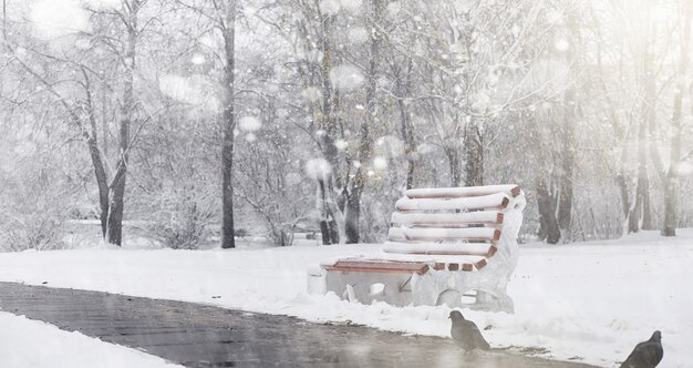 Parque de invierno cubierto de nieve y bancos. Parque y muelle para alimentar patos y palomas. La primera nevada cubrió el parque otoñal.