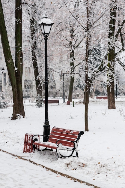 Parque de invierno cubierto de nieve y escarcha