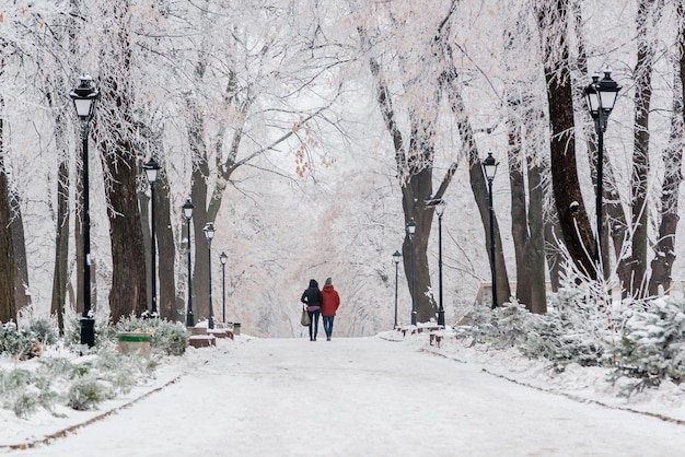 Parque de invierno cubierto de nieve y escarcha