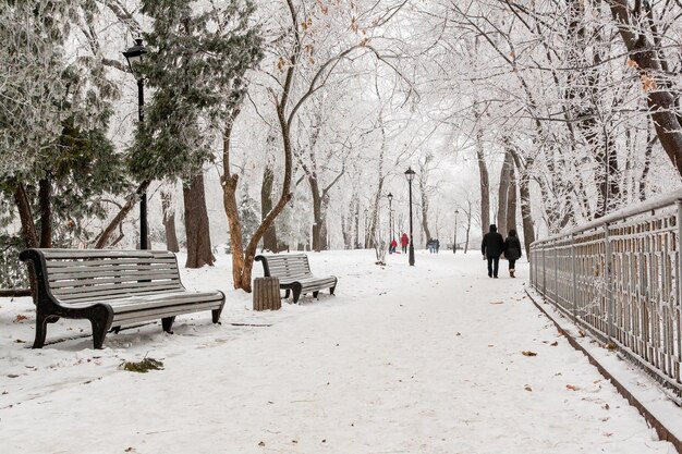 Parque de invierno cubierto de nieve y escarcha