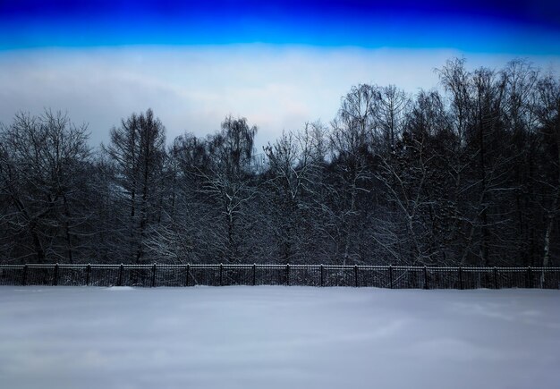 Parque de invierno con fondo de paisaje de borde de valla