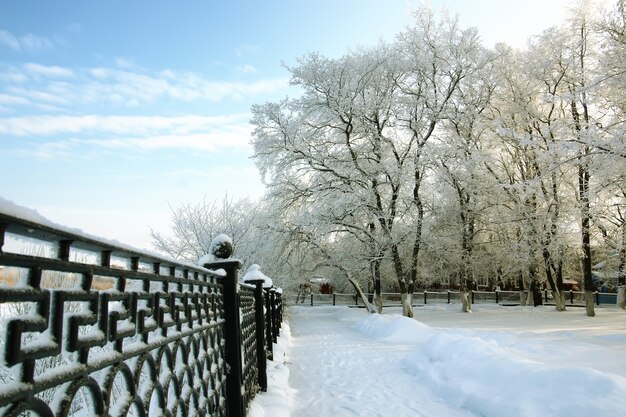 Parque de invierno de nieve cubierto de valla