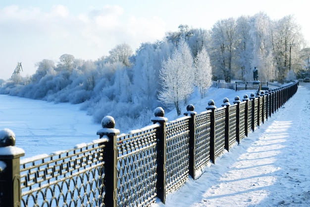 Parque de invierno de nieve cubierto de valla