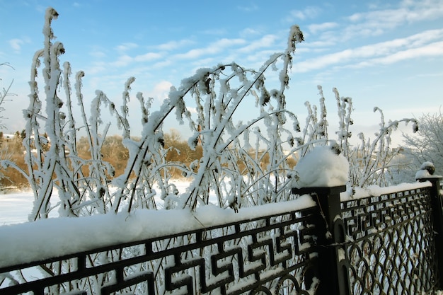 Parque de invierno de nieve cubierto de valla